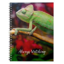 Recherche de cameleon carnets Caméléon