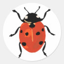 Suche nach ladybird aufkleber Blume