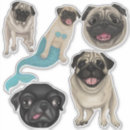 Recherche de chiot carlin autocollants Carlins