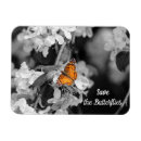 Suche nach apfelbaum magnete Blumenreich