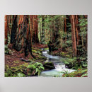 Suche nach digitale kunstplakate Landschaft