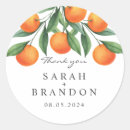 Recherche de oliviers autocollants Italien