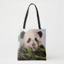 Suche nach mauer taschen Fotos