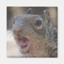 Recherche de attitude photographie Humour