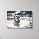 Suche nach schwarzer labrador leinwandbilder Welpe