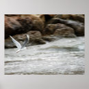 Suche nach masten poster Meer