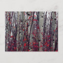 Recherche de arbre peuplier cartes postales Arbres