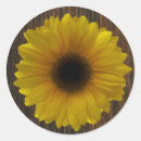 Suche nach sonnenblume umschlag aufkleber Landeshochzeit