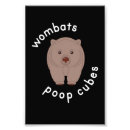 Recherche de wombat posters Ours