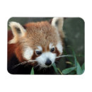 Recherche de environnement magnets Panda