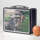 Suche nach natur brotdosen Kaninchen