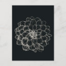 Recherche de dahlia cartes postales Floral