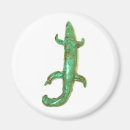 Recherche de lézard magnets Sud ouest