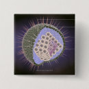 Recherche de virus badges Petite entreprise