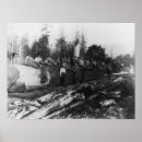 Suche nach lumberjack poster Holzfäller