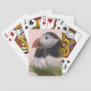 Recherche de arctica Animal
