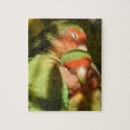 Suche nach lovebird puzzle Vogel