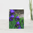 Suche nach manipulation karten Fotografie