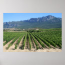 Suche nach rioja Spanien