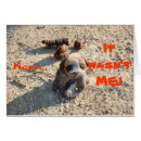 Recherche de caca cartes postales Amusant