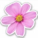 Recherche de cosmos rose autocollants Floral