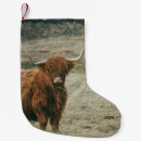 Recherche de bétail chaussette de noël Nature