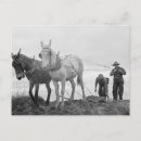 Recherche de biologie cartes postales Français