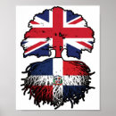 Suche nach flagge dominikanischen republik poster Dominanisch