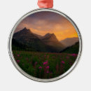 Suche nach gletscher ornamente Natur