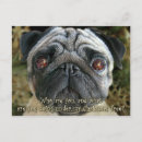 Suche nach weihnachts mops postkarten Möpse