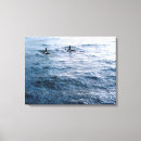 Suche nach orca leinwandbilder Tierwelt