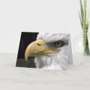 Suche nach glatze karten Vögel