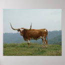 Suche nach lein poster Druck
