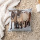 Recherche de islandais coussins Hiver