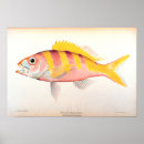 Recherche de biology posters Scientific