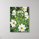 Recherche de flore impressions sur toile Fleurs