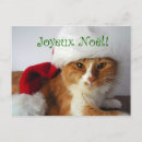 Recherche de french christmas cartes postales Animal