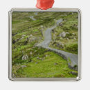 Recherche de mousse ornements Dehors