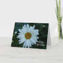 Suche nach happybirthday karten Blume