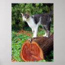 Suche nach zeder poster Holz