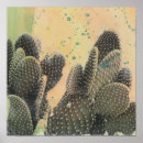 Recherche de cactus plant posters Succulents