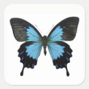 Recherche de beau papillon autocollants Bleu