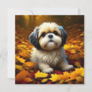 Recherche de apso vœux cartes Mignon