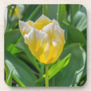 Suche nach tulpen untersetzer Weiß
