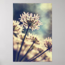Recherche de floral lace posters Fleurs