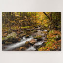 Suche nach birkenbaum puzzle Fall