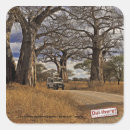Recherche de baobab autocollants Arbre