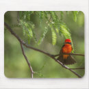 Suche nach singvögel mousepads Tiere