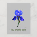 Recherche de iris cartes postales Botanique