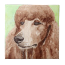 Recherche de caniches carreaux Aquarelle